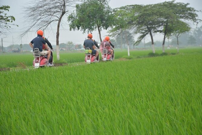 Hanoi Food Tours: Hanoi Foodie Scooter Tour Led By Women - Banh cuon in the French Quarter