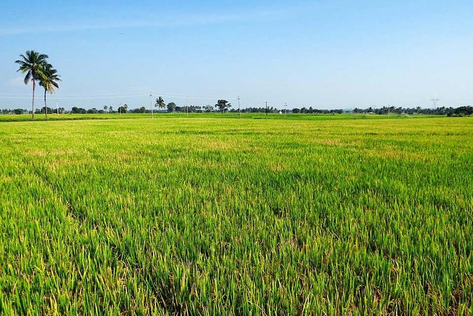 Hanoi Vespa Countryside Tour With Female Ao Dai Riders Half Day - What the $58 price really covers
