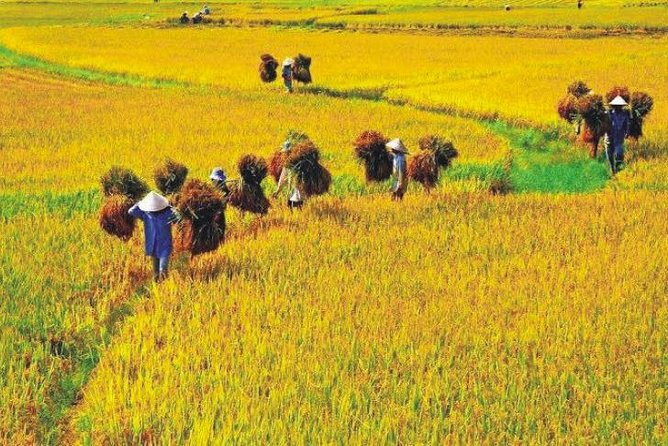 Hanoi Vespa Countryside Tour With Female Ao Dai Riders Half Day - Who should book this half-day tour