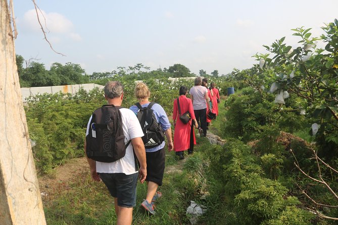 Hanoi Vespa Full Day City & Countryside with Female Ao Dai Riders - Co Loa Citadel, rice roads, and the four-hour countryside stretch