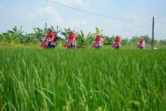 Hanoi Vespa Tours: Hanoi Vintage Vespa Tours Countryside - Co Loa Citadel and the working countryside