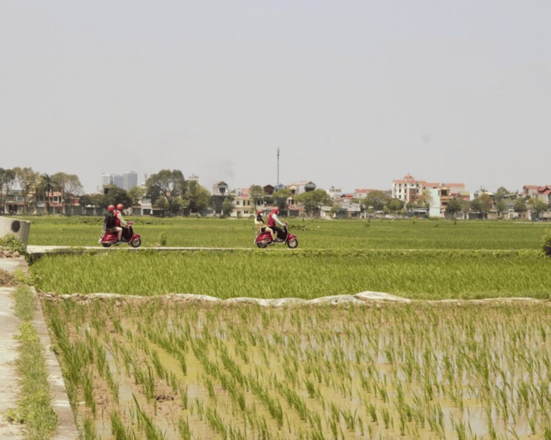 Hanoi Vintage Vespa Tours: A Half-Day Countryside Adventure - What the $60 price really buys