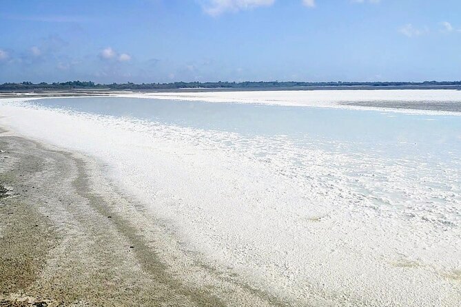 Happy tour camargue an immersion by bike and scooter E - Morning or afternoon: choosing the right time