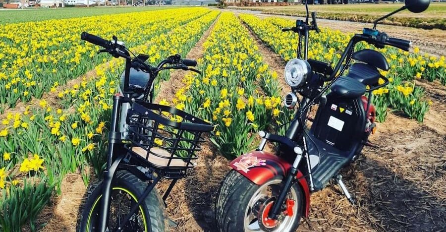 Hillegom: E-Scooter or E-Bike Rental in the Bulb Region - Key points to know before you book