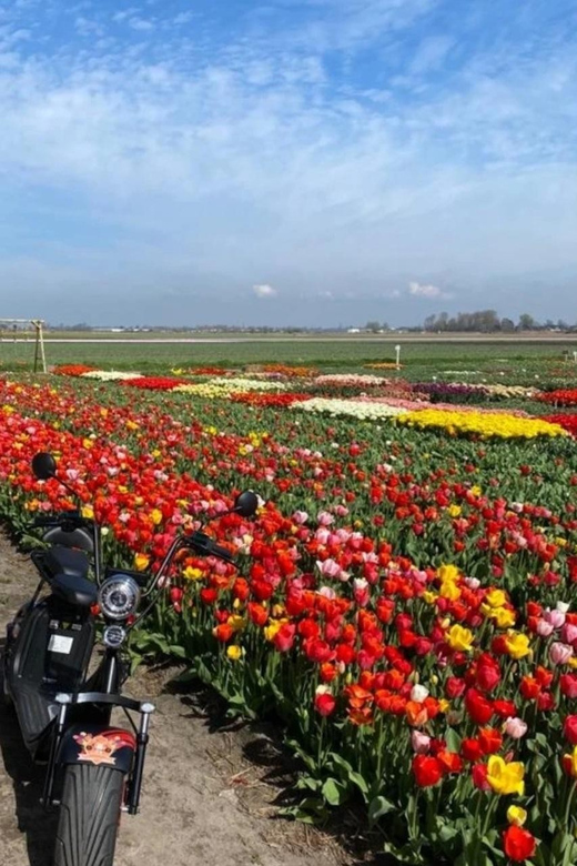 Hillegom: E-Scooter or E-Bike Rental in the Bulb Region - Choosing between an e-bike and an e-scooter