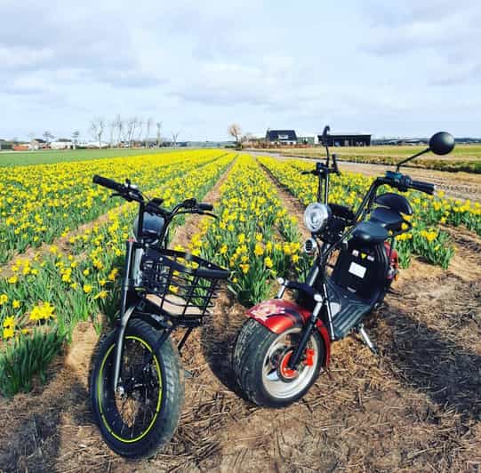 Hillegom: E-Scooter or E-Bike Rental in the Bulb Region - Riding through the Dutch bulb region