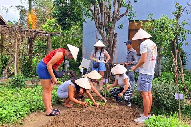 Hoi An Cooking Class & Vespa Cooking Adventure Tour - Tra Que Vegetable Village and fresh herbs