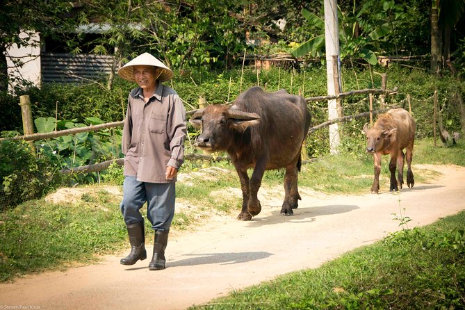 HOI AN Countryside - River Islands - Old Crafts - Local Culture - Transport, group size, and comfort