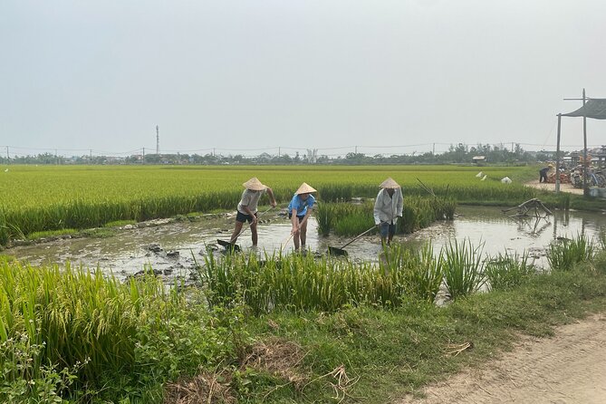 Hoi An Countryside Vespa Tour: Food, Culture & Daily Life - Lunch with local flavor