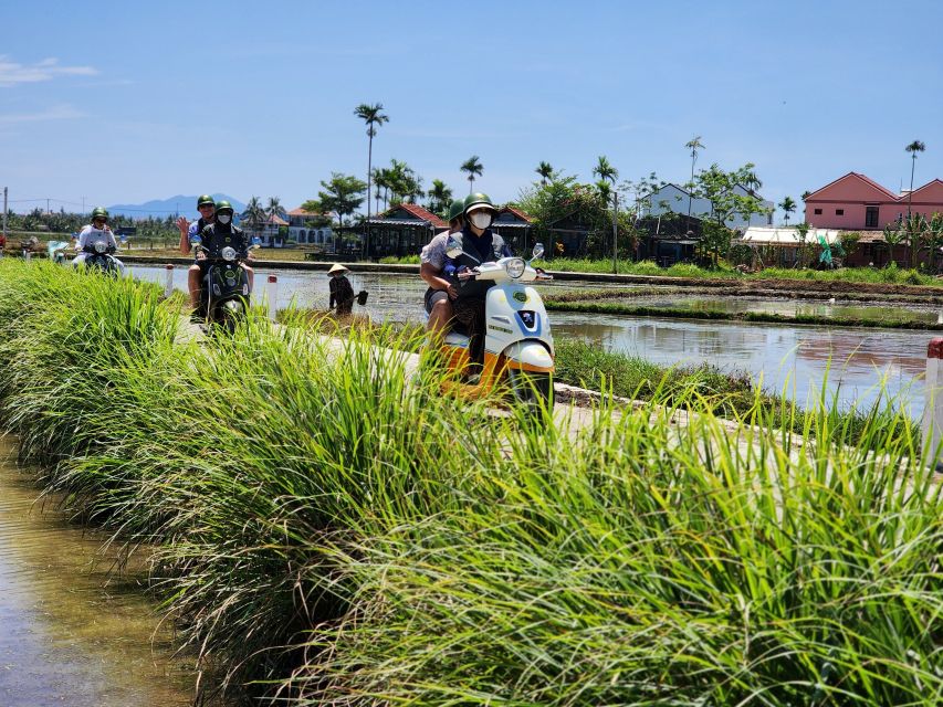 Hoi An Highlights and Hidden Gems Tour by Vespa - Safety, comfort, and what the ride feels like