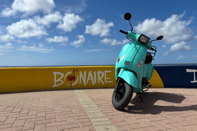 Island Scooter Tour Bonaire - Gotomeer offers flamingos and a quieter northern view