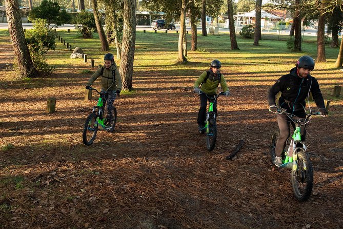 Leisure ride on an electric scooter - What the $59.28 Price Buys You