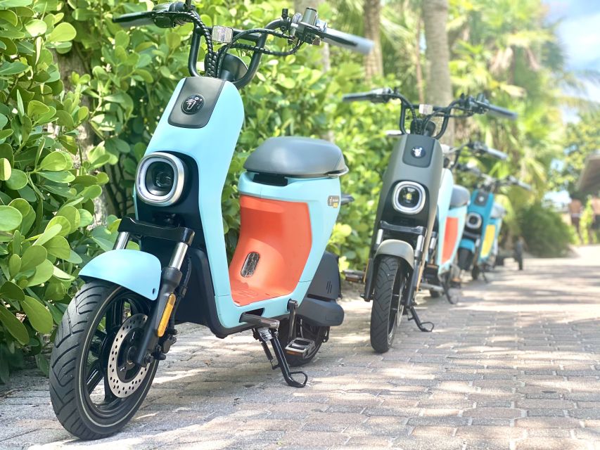 Naples, Florida - Segway Electric Moped Tour - Family Fun - Naples Bay and Crayton Cove: the waterfront opening