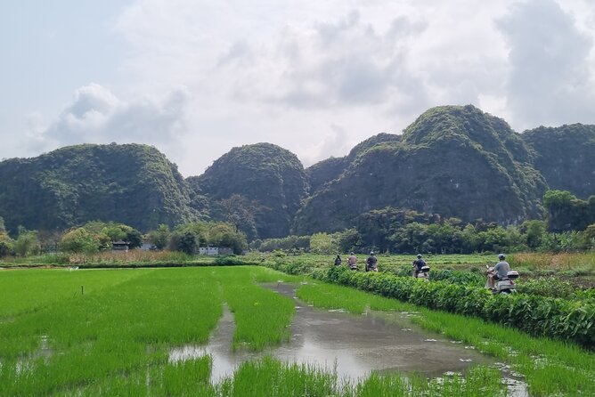 Ninh Binh HIGHTLIGHT & HIDDEN GEM Tour From Hanoi: Skip-The-Line - Thai Vi Temple and Bich Dong Pagoda