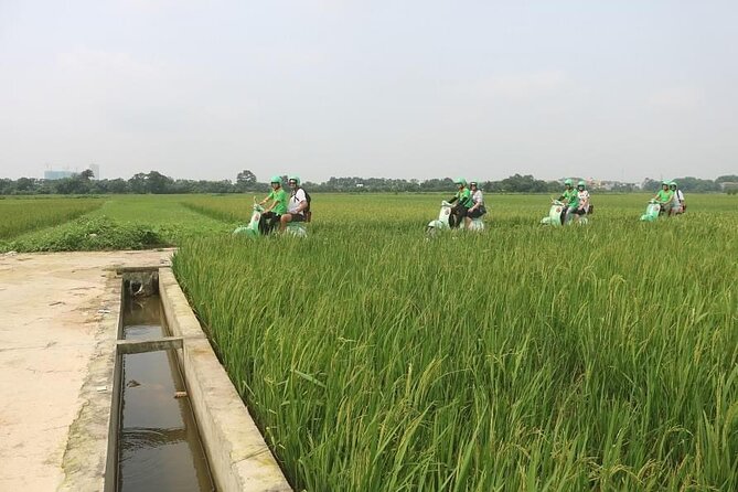 Ninh Binh Vespa Start from Hanoi + Boat + Villages +Rice Paddies - Why this Ninh Binh day trip works