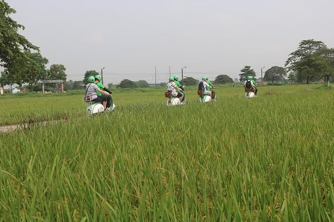Ninh Binh Vespa Start from Hanoi + Boat + Villages +Rice Paddies - A 90-minute sampan ride through Tam Coc