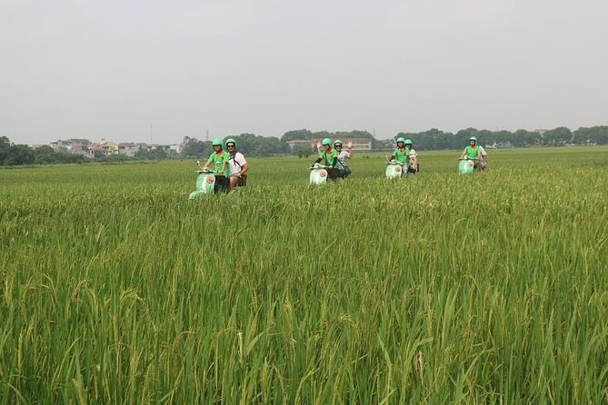 Ninh Binh Vespa Start from Hanoi + Boat + Villages +Rice Paddies - Who will enjoy it most