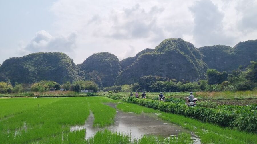 Ninh Binh Vespa Tours from Hanoi: Vespa + Boat + Daily Life - A quiet 1.5-hour ride on the Ngo Dong River