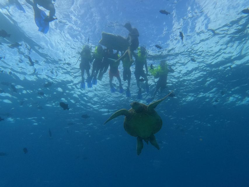 Oahu Snorkeling with Turtles, Water Scooter, Paddleboard - Turtle Canyon and the promise of sea turtles