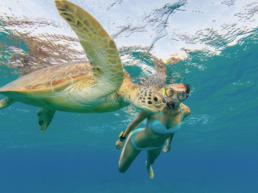 Oahu Snorkeling with Turtles, Water Scooter, Paddleboard - Is $120 a fair price?