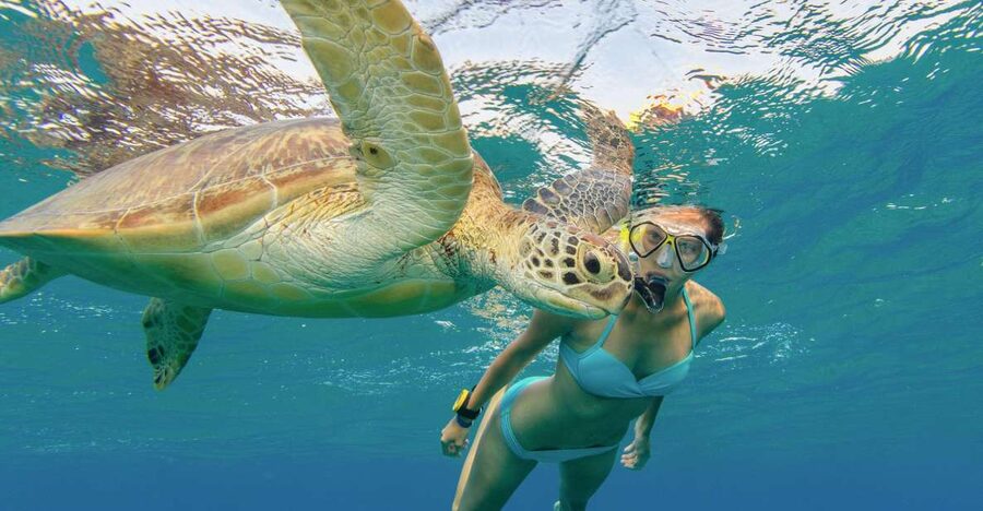 Oahu Snorkeling with Turtles, Water Scooter, Paddleboard - Who will enjoy this two-hour outing?