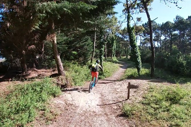 Off-road electric scooter-2h30 guided by GPS- "Carnac" - Who will enjoy this Carnac ride