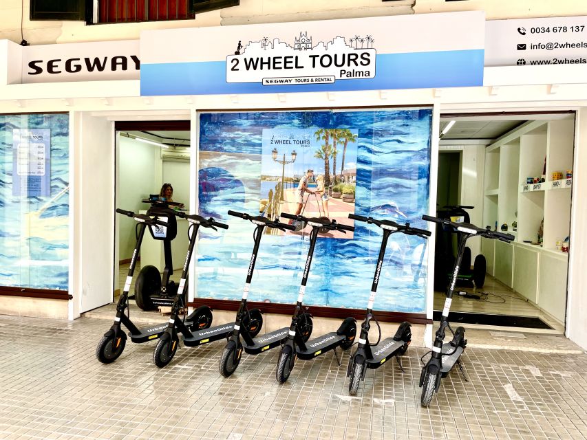 Palma: Guided 1.5 H city tour on Electric scooter - La Lonja and Palma’s Gothic character