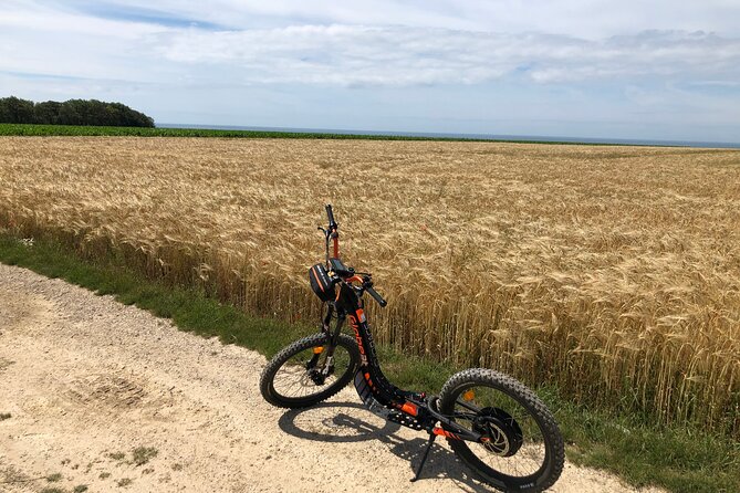 "Pleasure" ride on an all-terrain electric scooter - Who will enjoy this experience most