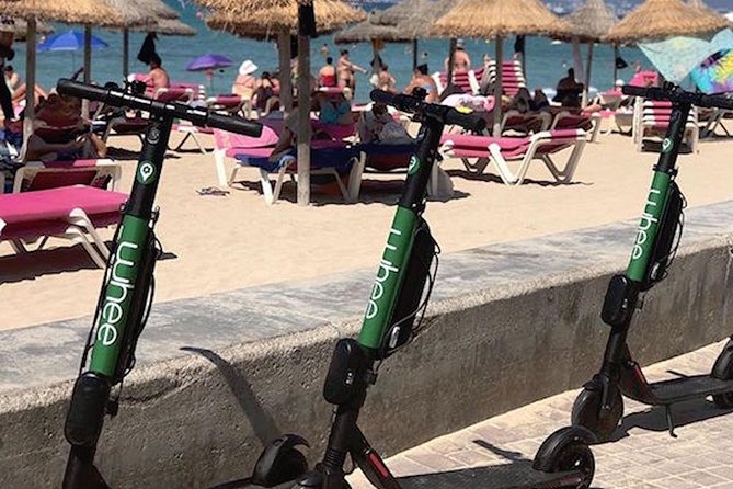 Premium electric Scooter rental with optional delivery - Safety, size limits, and practical riding concerns