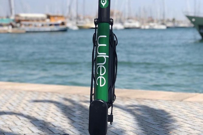 Premium electric Scooter rental with optional delivery - Is $216.04 good value for your Palma plans?