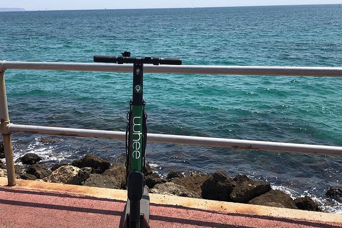 Premium electric Scooter rental with optional delivery - Who should rent this scooter?