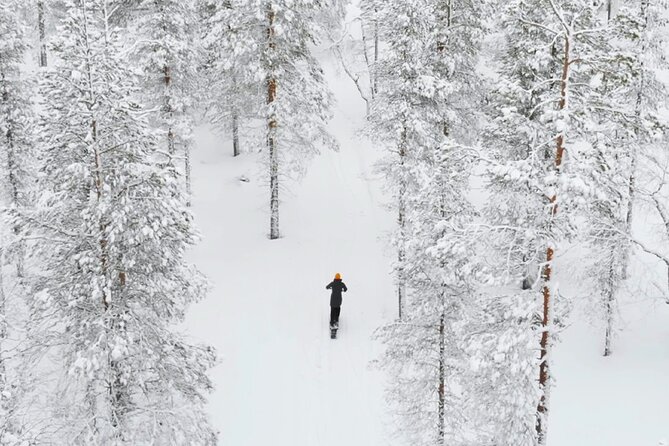 Private Driving Snow Scooters Experience in Finland - What this electric scooter ride is really like