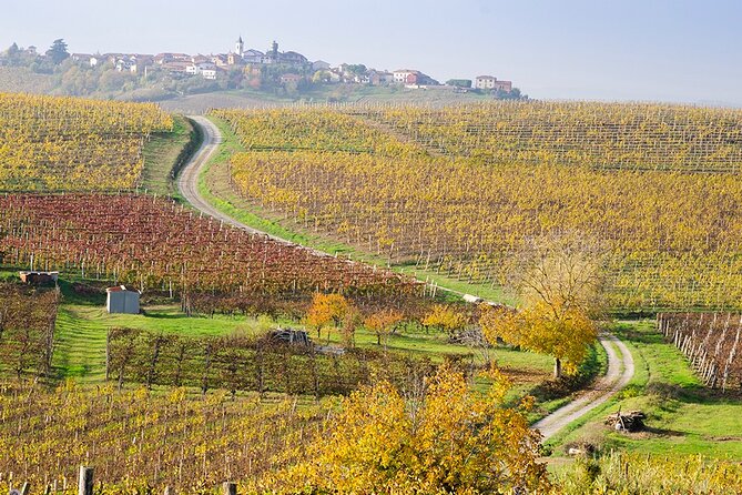 Private Vespa Tour "Among the hills of Barolo and Barbaresco" - Gabriele’s role makes a difference