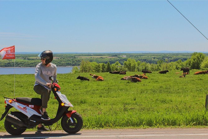 Quebec City - Scooter Rental on Ile d'Orléans - How to manage four hours without rushing