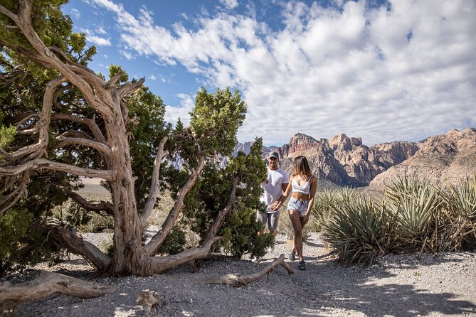 Red Rock Canyon Scooter Tour from Las Vegas - The ride from the Strip to the canyon