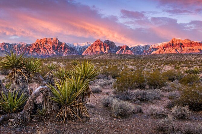 Red Rock Canyon Scooter Tour from Las Vegas - Learning to ride before the red rocks begin