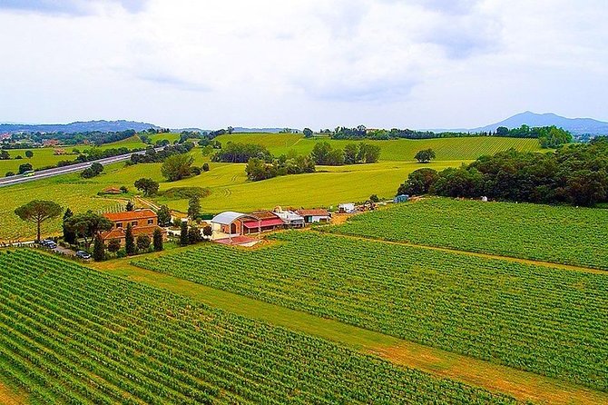 Romantic Vespa Tour and Wine Tasting - Why this Vespa and wine pairing works