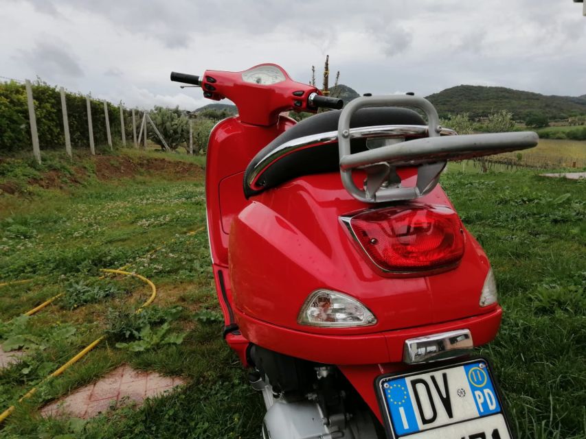 Rome: City Highlights Vespa Tour with Driver - Three hours of Rome from the back seat
