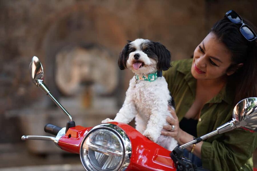 Rome: Guided Vespa Experience with Professional Photoshoot - The Acqua Paola Fountain and Gianicolo views