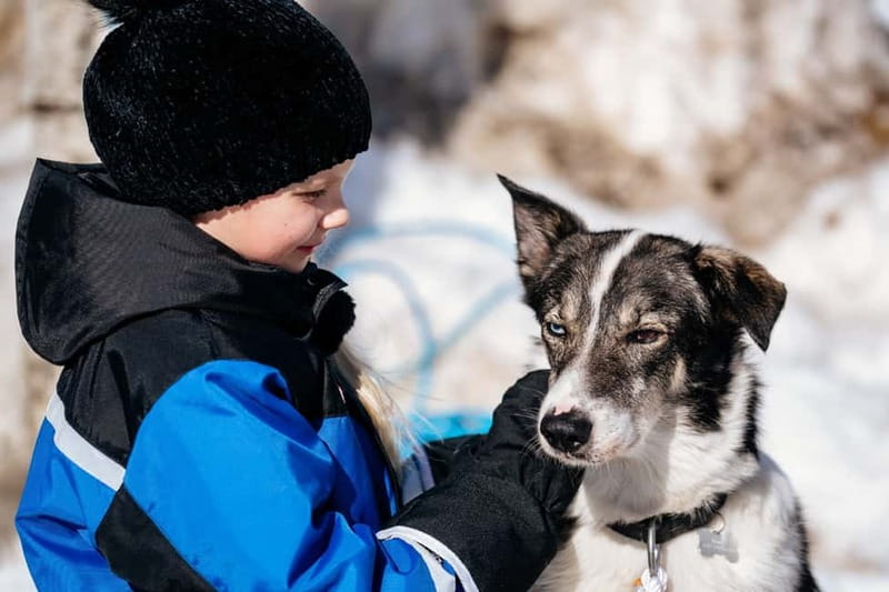 Rovaniemi: Snow Tour with Huskies, Reindeer, & Mini Scooters - Reindeer, photographs, and a gentler pace