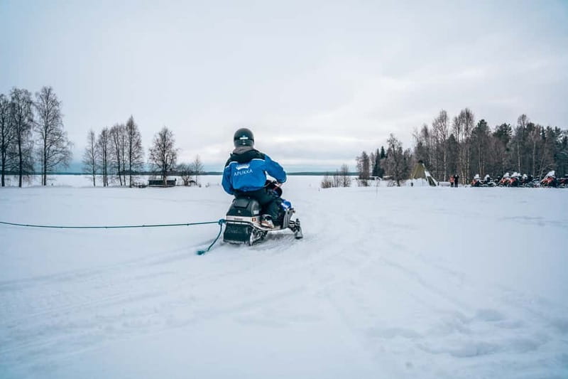 Rovaniemi: Snow Tour with Huskies, Reindeer, & Mini Scooters - Who will enjoy this most?