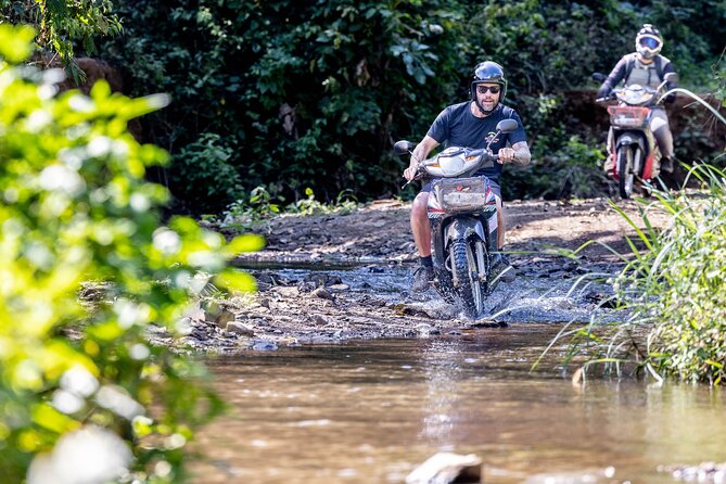Scooter Adventure with elephants, views and FUN drive yourself - Why this scooter day feels different from standard Chiang Mai sightseeing