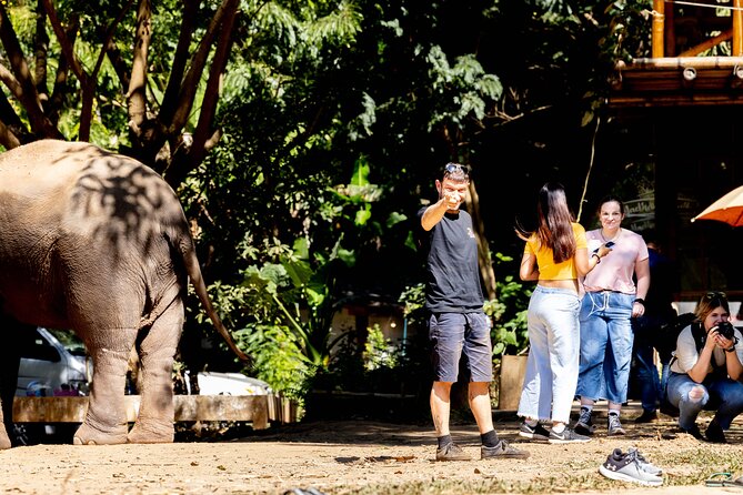 Scooter Adventure with elephants, views and FUN drive yourself - Pickup, scooters, and the first part of the ride