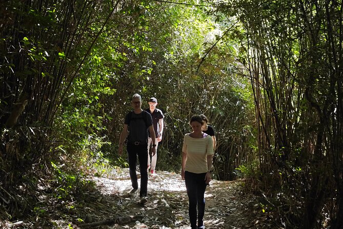 scooter and hiking trip in the rainforest - Starting at 10:00 with a scooter test