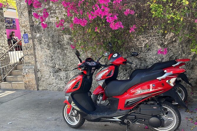 Scooter Rental Nassau - The $118 Price and What You Get