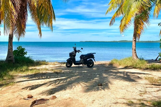 Scooter Rental San Juan Puerto Rico - Piñones dining at The New Reef