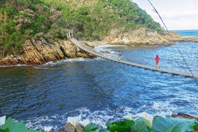 Scooter Tours through Tsitsikamma National Park - Key points to know before booking