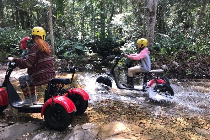 Scooter Tours through Tsitsikamma National Park - Riding into Tsitsikamma’s thick forest