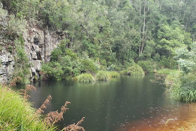 Scooter Tours through Tsitsikamma National Park - A closer look at the value of $54.64