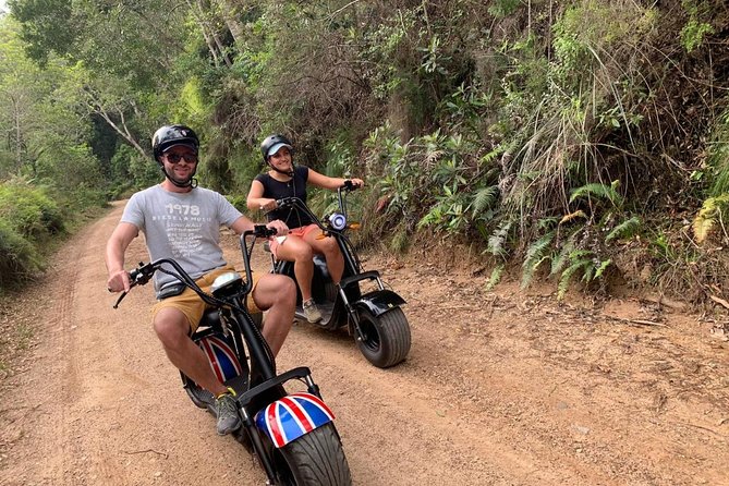 Scooter Tours through Tsitsikamma National Park - Timing, weather, and practical planning